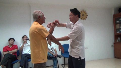 咏春拳13招基本手法